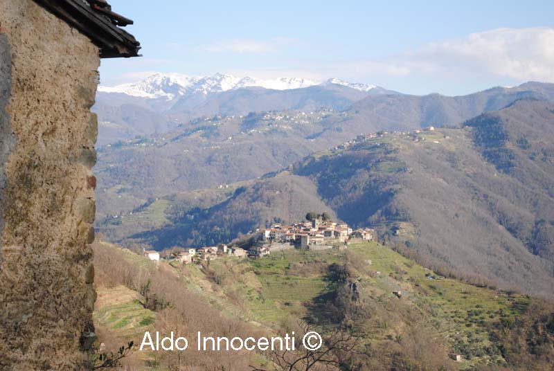 PALLEROSO: VEDUTA PANORAMICA DA PERPOLI 1' IMMAGINE